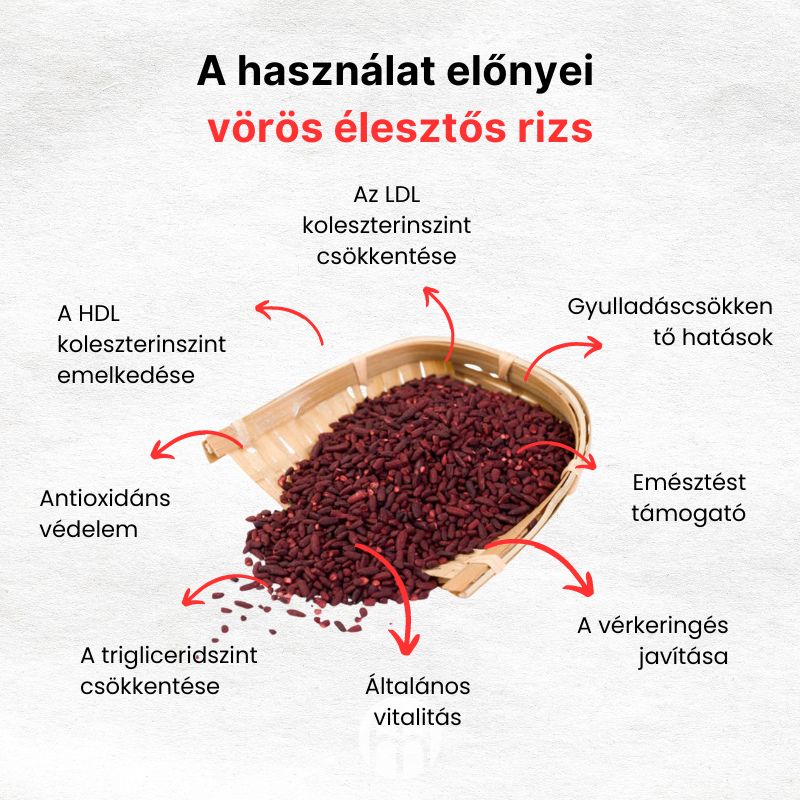 (Maďarština) (Rumunština) (Bulharština)